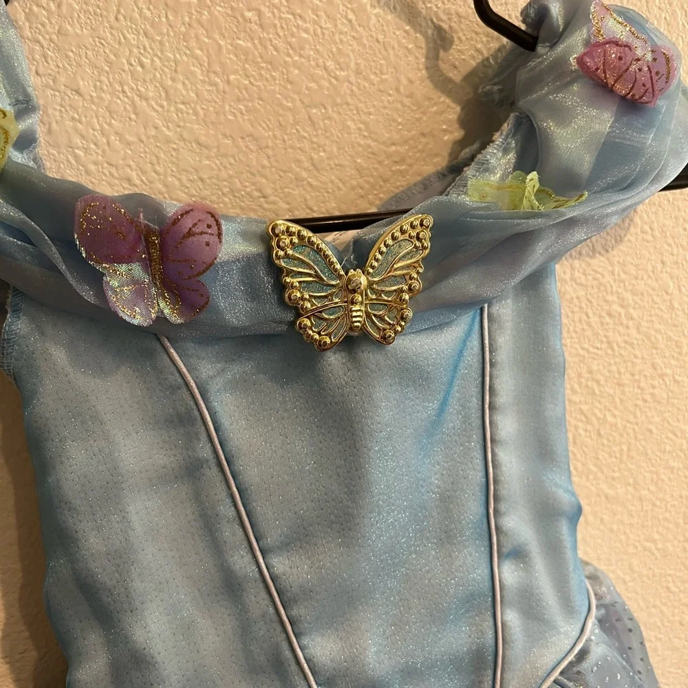 Cinderella‎ costume
